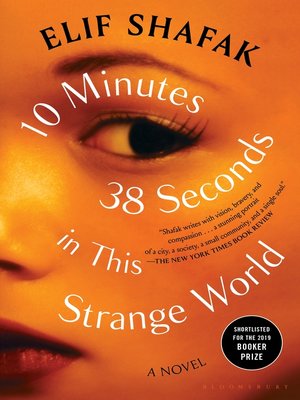 cover image of 10 Minutes 38 Seconds in This Strange World